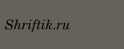 Century Schoolbook Italic BT 